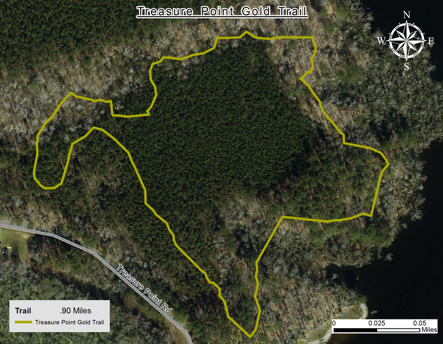 Treasure point gold Trail