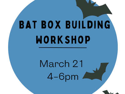 Blue circular flyer reading "BAT BOX BUILDING WORKSHOP" March 21 4–6pm with bat silhouettes
