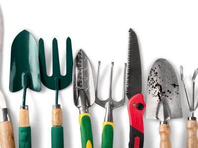 Pruning Ornamental Trees and Shrubs