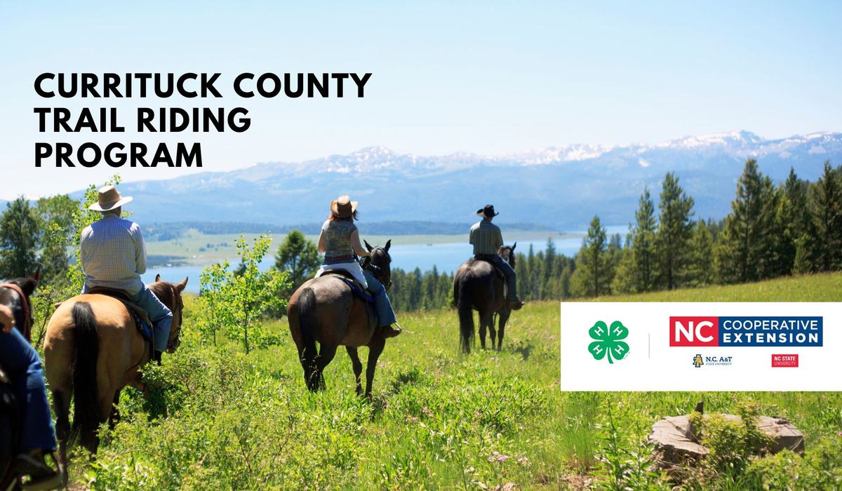 Curridge Riding School Currituck Horse Trail Riding Program - Currituck County Center | N.C ...