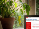 Image shows laptop near potted plant with NC State Publications Database on Screen