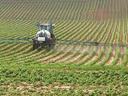 Agricultural sprayer vehicle driving along planted rows, spraying crops