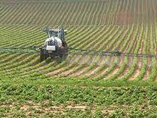 Agricultural sprayer vehicle driving along planted rows, spraying crops