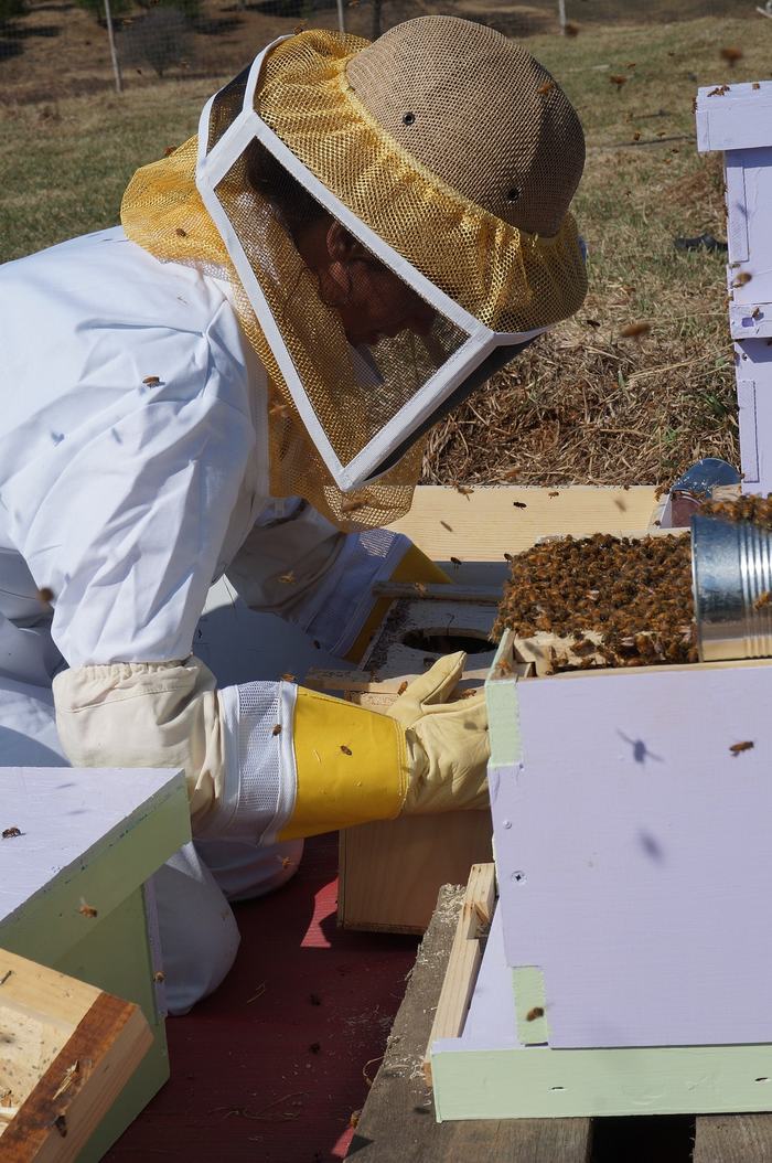 Beekeeping