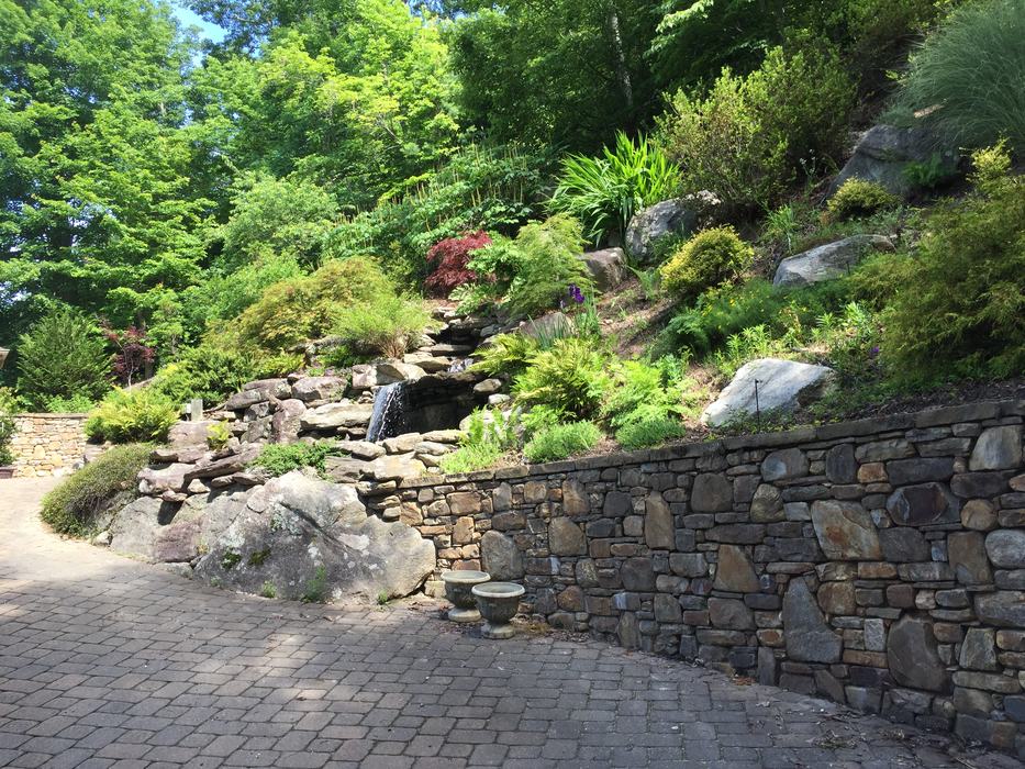 mixed plant landscape on a hill