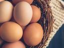 eggs in basket