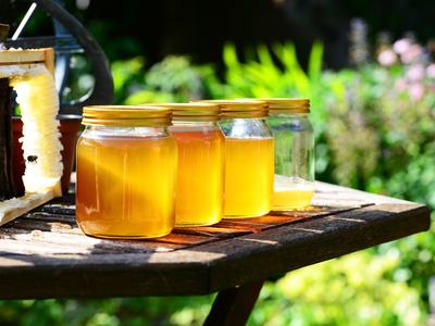 Beekeeping School