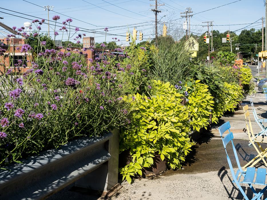 Container gardens