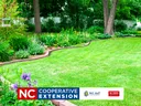 lawn care photo
