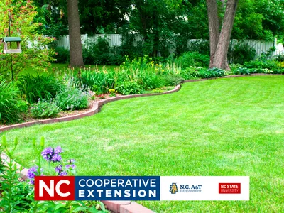 lawn care photo
