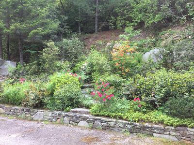landscaped hillside