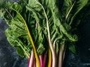 rainbow chard