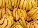 Bunches of ripe yellow bananas stacked closely in a produce display