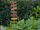 Green garden with colorful direction sign