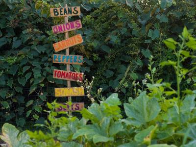 Green garden with colorful direction sign