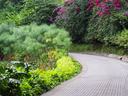 Various plants and flowers along a brick path