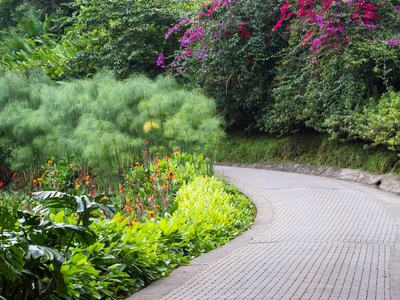 Various plants and flowers along a brick path