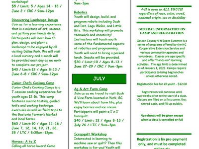 4-H Super Summer Brochure