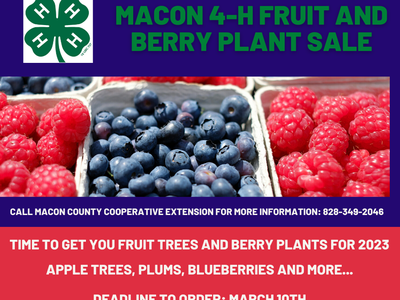 4-H Fruit and Berry sale Flyer