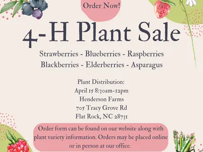 4-H Plant Sale — berries and asparagus. Plant pickup Apr 15, 8:30–12, Henderson Farms, Flat Rock NC