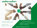 4-h teen leadership