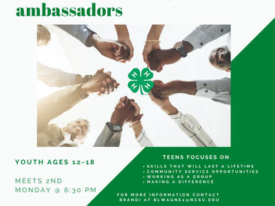 4-h teen leadership