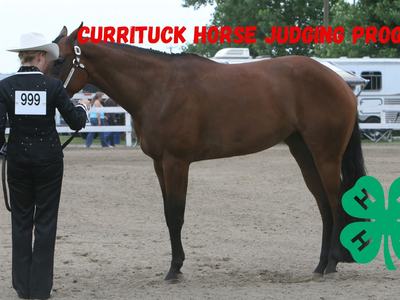 Currituck Horse Judging Team 4 H