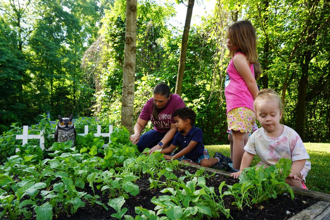 Adult and three children tending a garden bed with leafy greens and an owl decoy