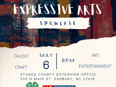 expressive arts showcase