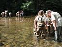 French Broad River Stewards