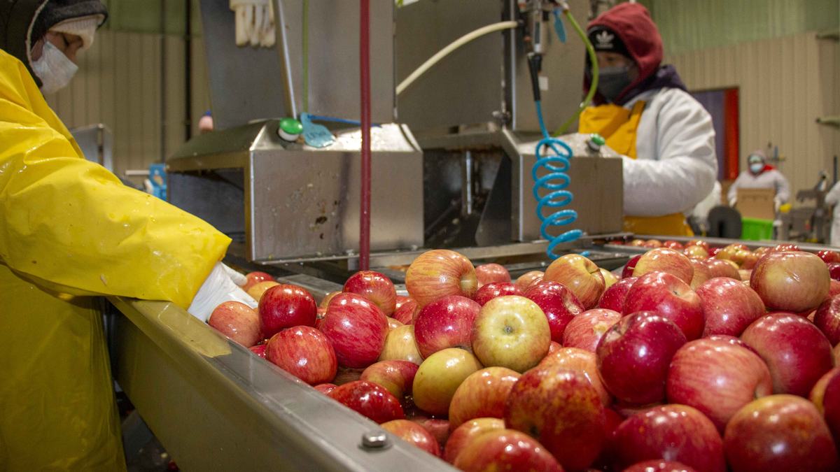 NC State Extension food safety apple slicing