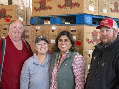 NC State Extension food safety apple slicing