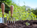 Hand trowel and garden fork stuck upright in soil with green plants in background