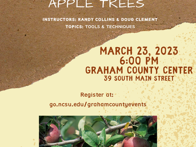 Workshop Flyer with class info