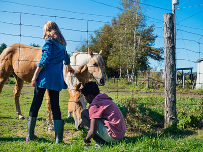 Two children reaching through a wire fence toward two palomino horses in a field
