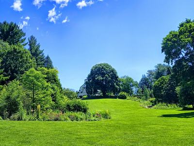 Grassy lawn sloping up to a house partially hidden by trees under a blue sky