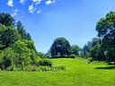 Grassy lawn sloping up to a house partially hidden by trees under a blue sky