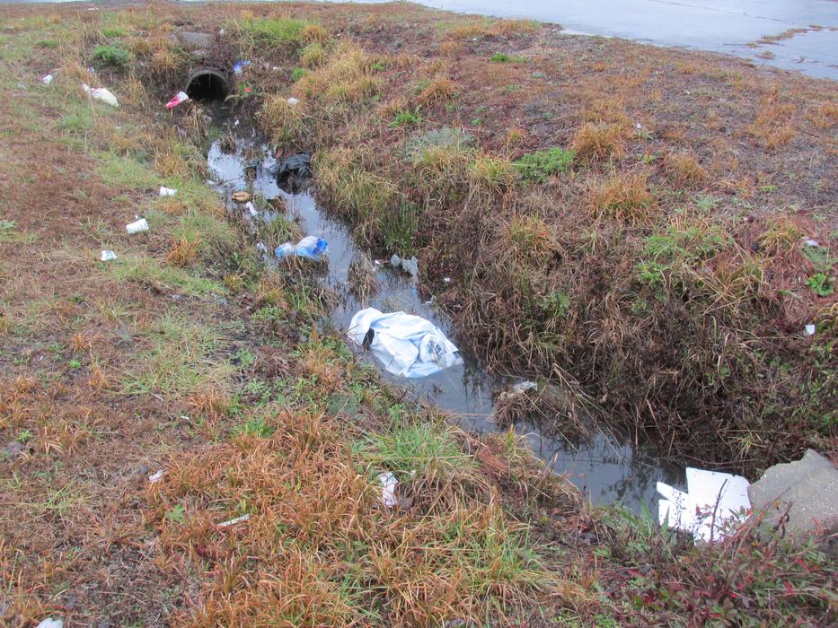 A ditch filled with water and trash.