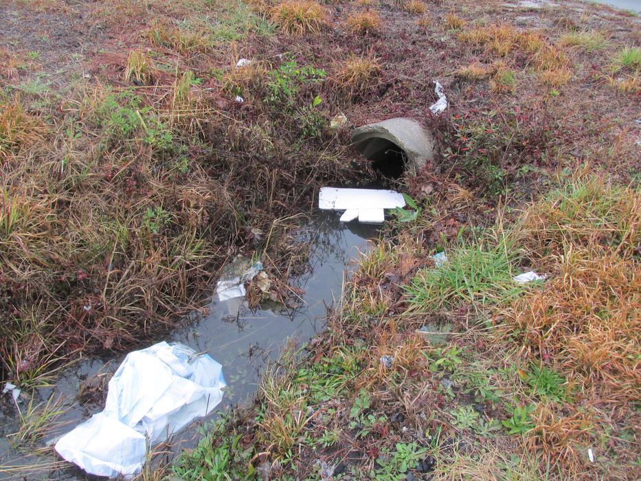 Trash floating into a storm drain.
