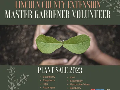 Plant Sale Graphic