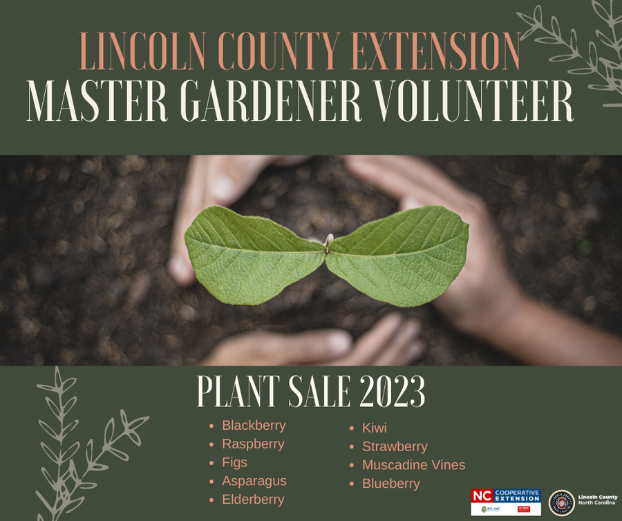 Plant Sale Graphic