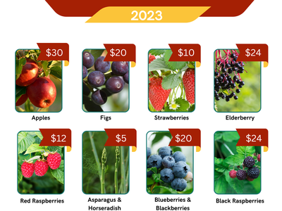 small fruit plant sale flyer
