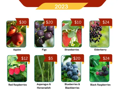 small fruit plant sale flyer