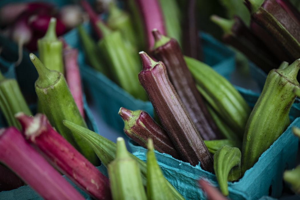 Okra of various colors.