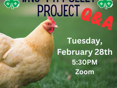 WNC 4-H Pullet Project Q&A