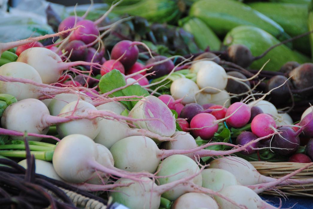 A basket of radishes.