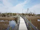 Tideland Trail at Cedar Point