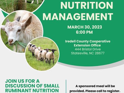 photo of event flyer