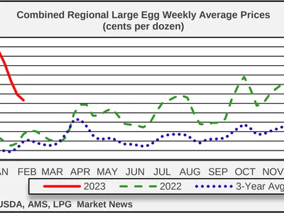 egg price chart