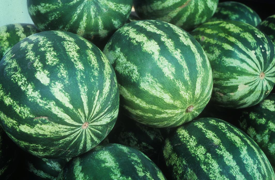 A pile of Watermelon.